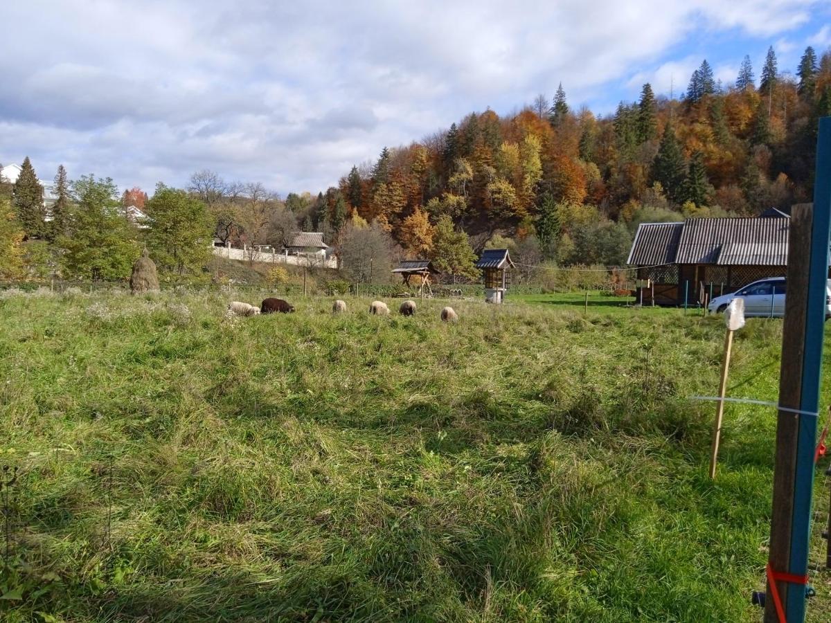 Садиба Федорчуків Гірська Хатина Sheshory Exterior photo
