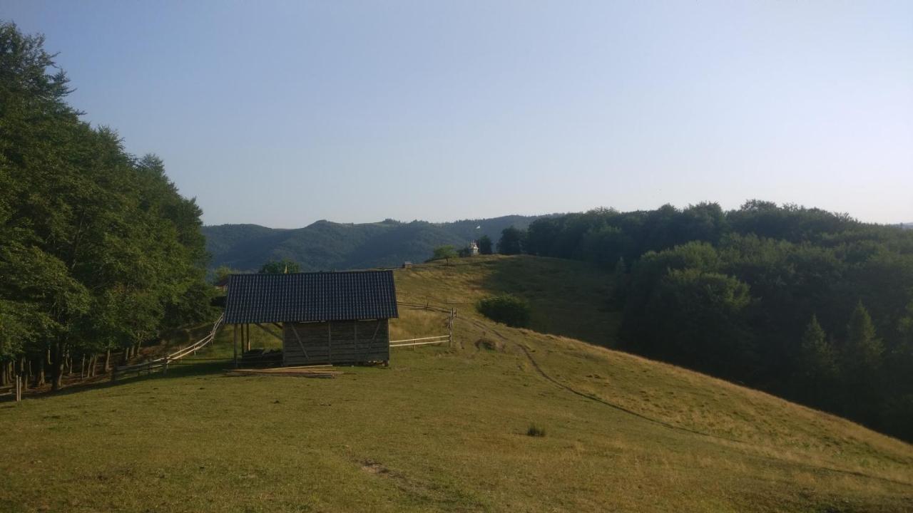 Садиба Федорчуків Гірська Хатина Sheshory Exterior photo