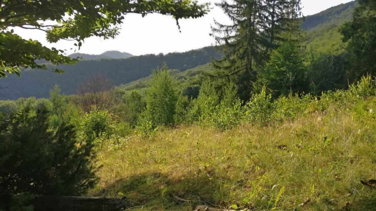 Садиба Федорчуків Гірська Хатина Sheshory Exterior photo